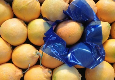 Foto Arance Tarocco Calibro 4 Origine Italia Marchio Cristina  2